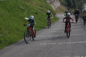 img-0334.jpg