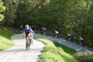 p1000533.jpg